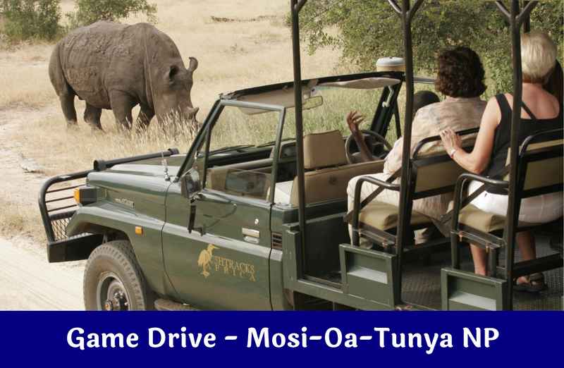 Game Drive – Mosi-Oa-Tunya National Park – LVVP